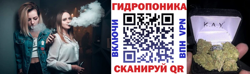 Купить закладку ГАШИШ  A PVP  Меф мяу мяу  Сосновый Бор